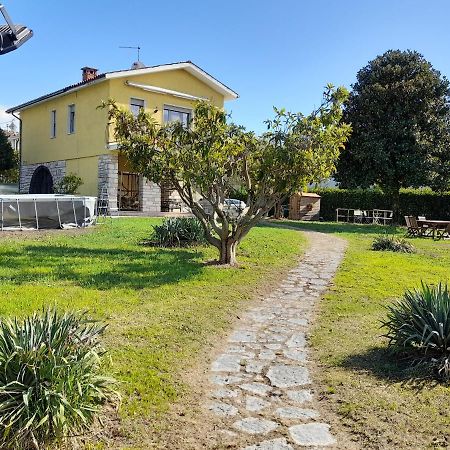 Villa La Magnolia - Private Beach Access, Garden, Views Lazise Zewnętrze zdjęcie